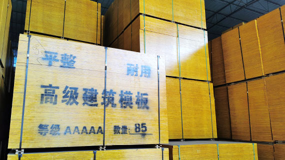 走進東實環(huán)境